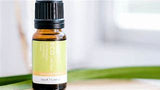 Citronella Oil 50ml (Eco-Essential Oil)